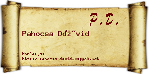 Pahocsa Dávid névjegykártya